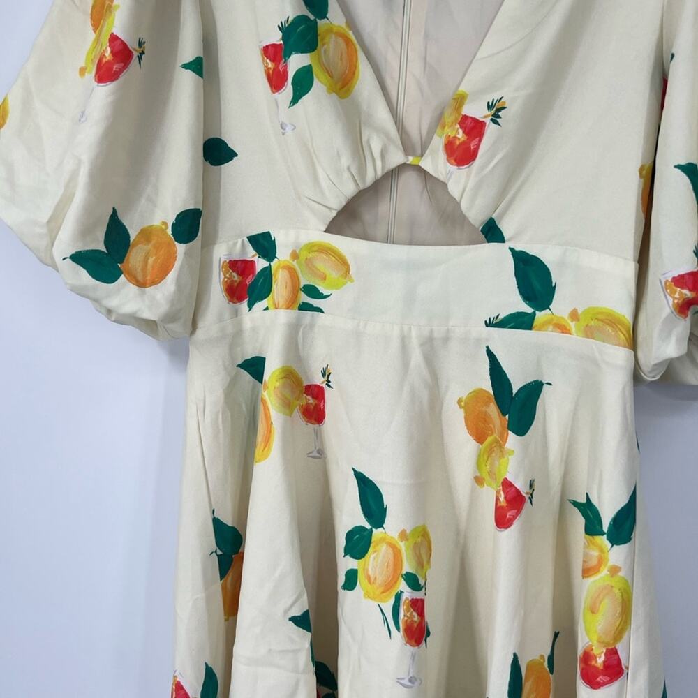 Runaway Mikaela Mini Dress in Lemon & Drink Print - Picture 3 of 7